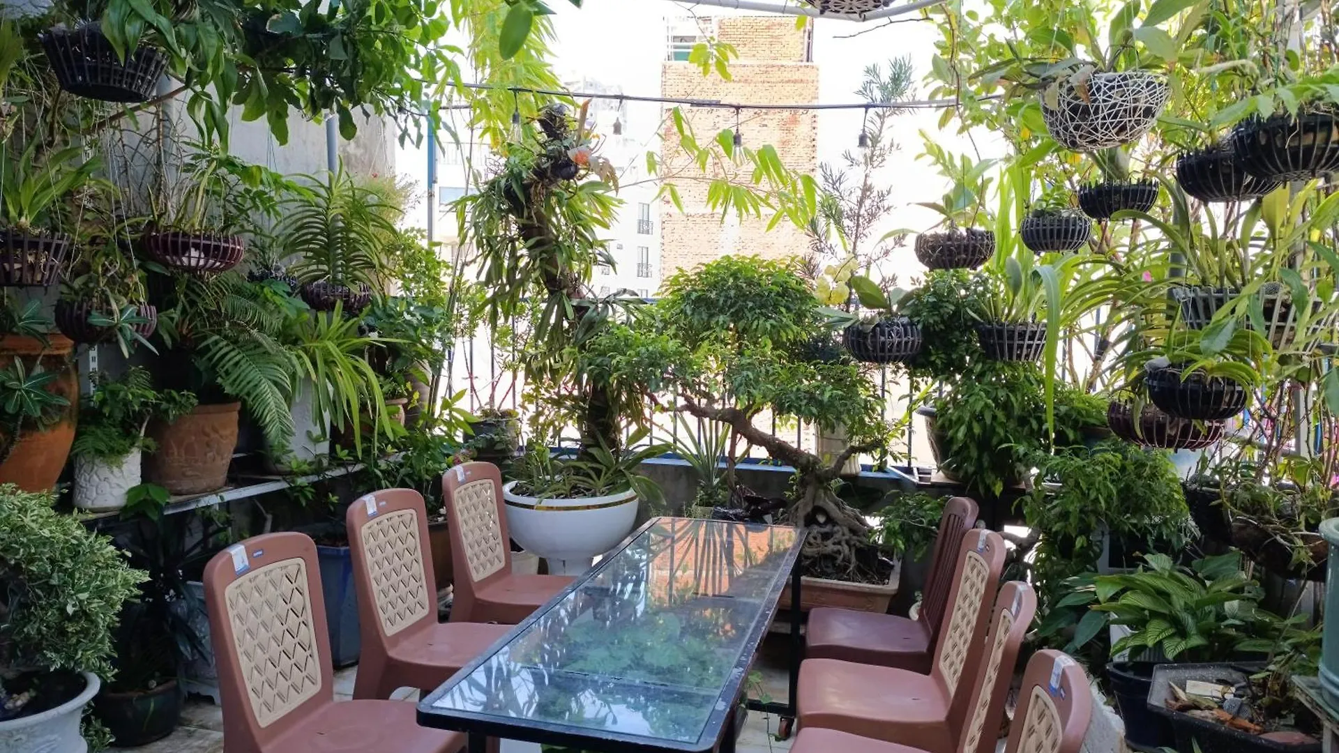Nha Nguyen Can Vung Tau Dungvinh'S Home Vietnam